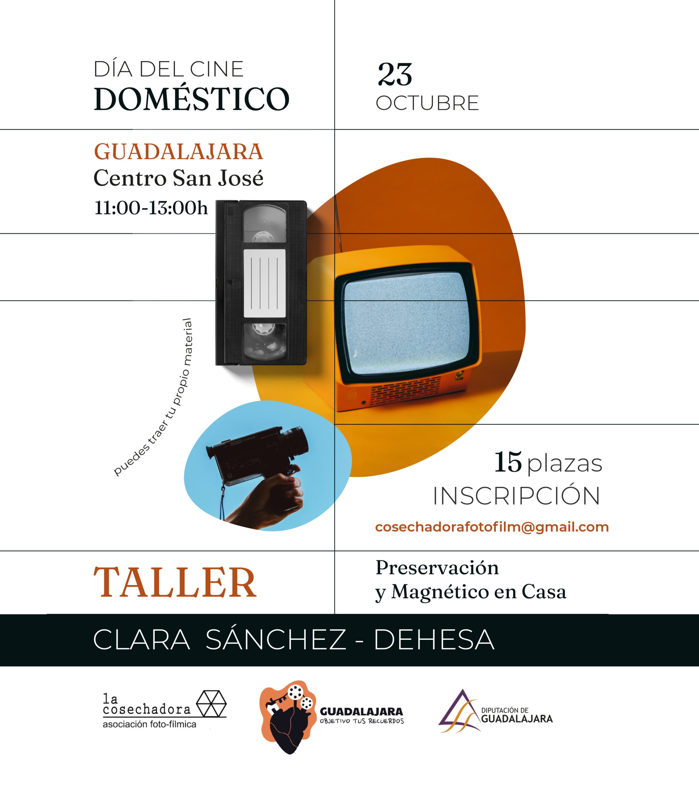 Cartel Día del Cine Doméstico