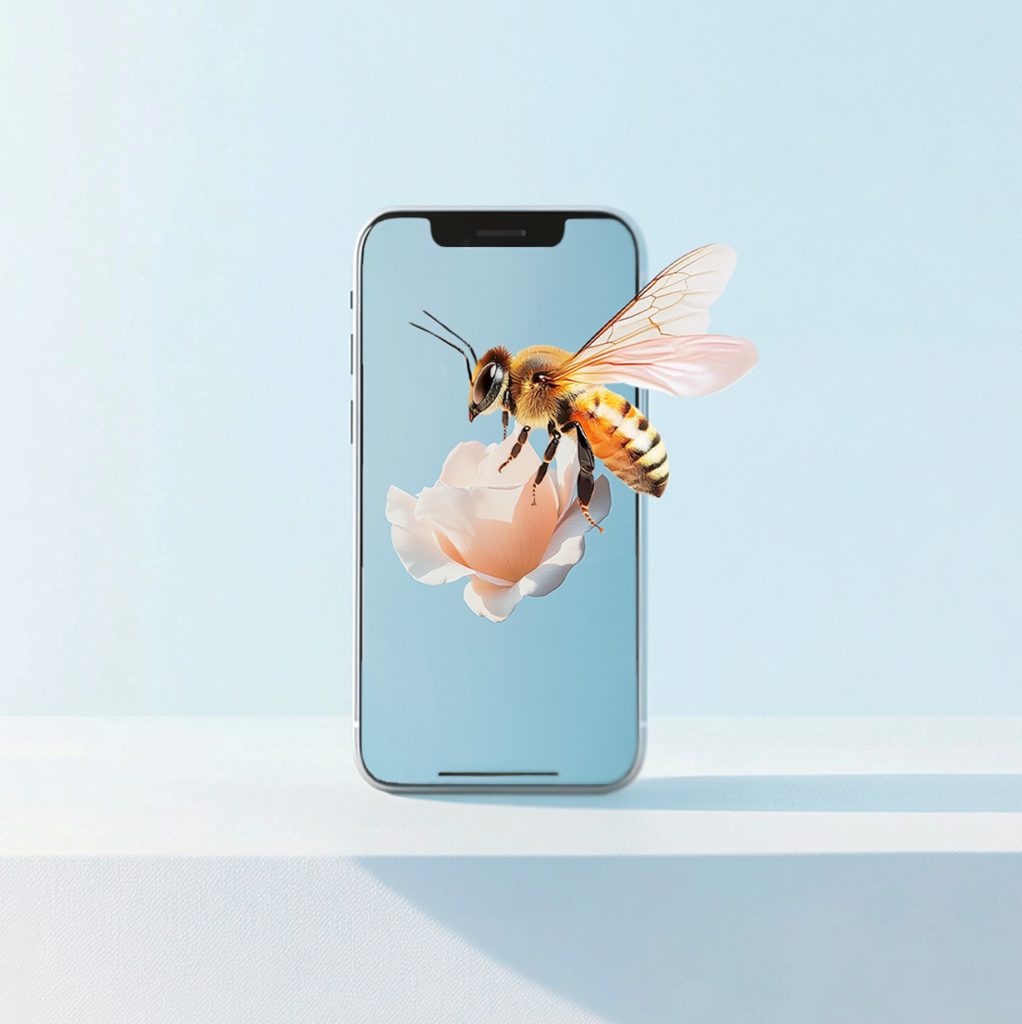 Servicio Creativo Diseño y gestión Redes Sociales