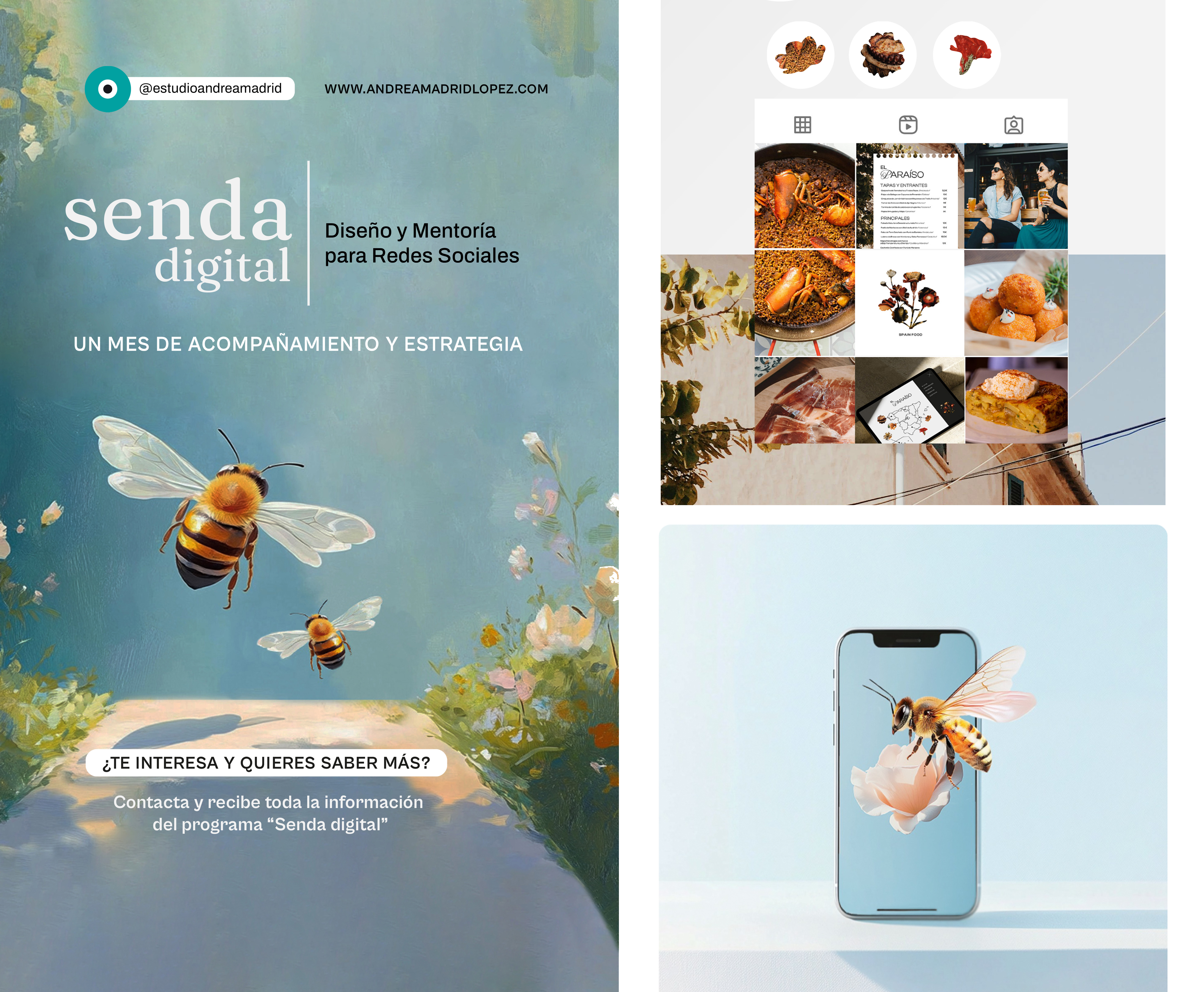 Programa Senda Digital para Redes Sociales 